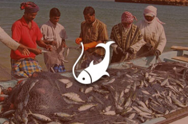 credit-oman-fisheries